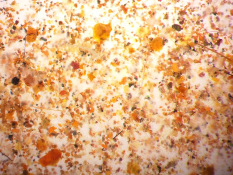 Ballast Water Sampling & Testing for VGP Compliance