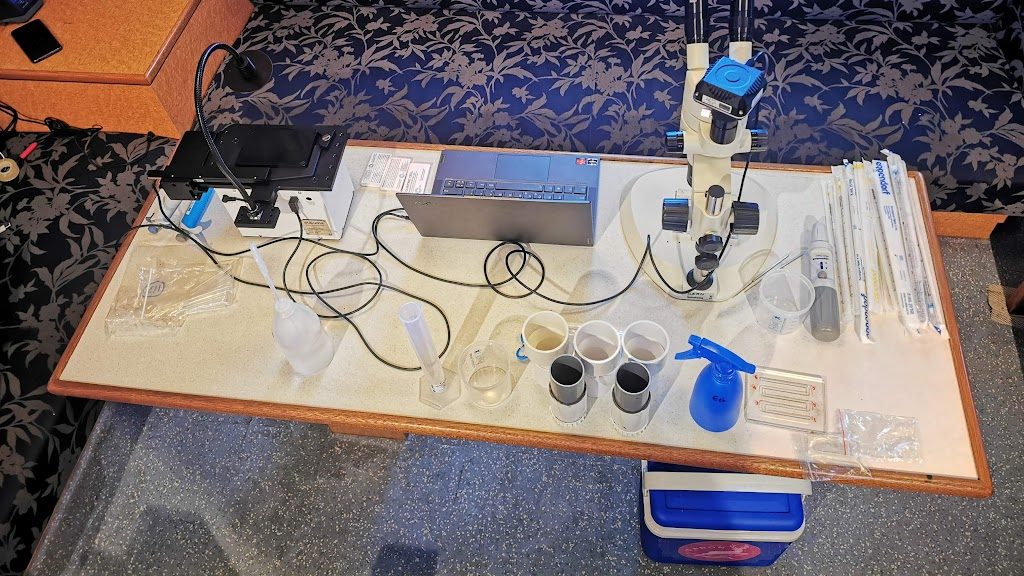 BWMS Commissioning Analysis 